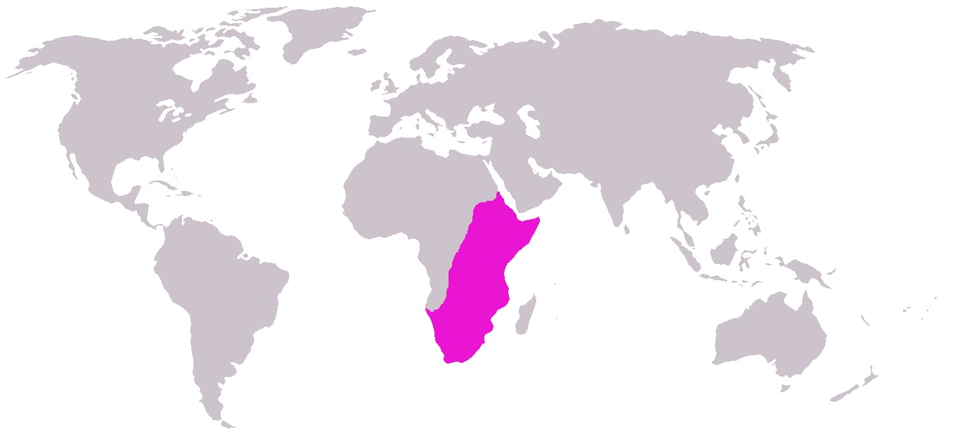 Weltkarte mit dem Verbreitungsgebiet der Giraffe in Afrika